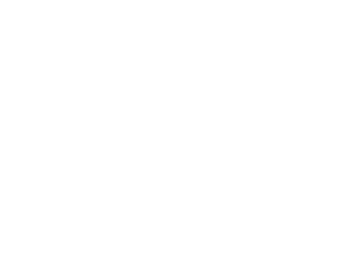 saas-icon-white